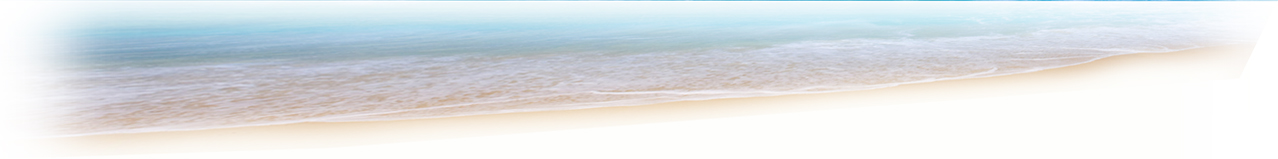 $200 Best Affordable Custom Budget Website SEO Google Ranking Small Business New Website Change Phone 570.445.4550